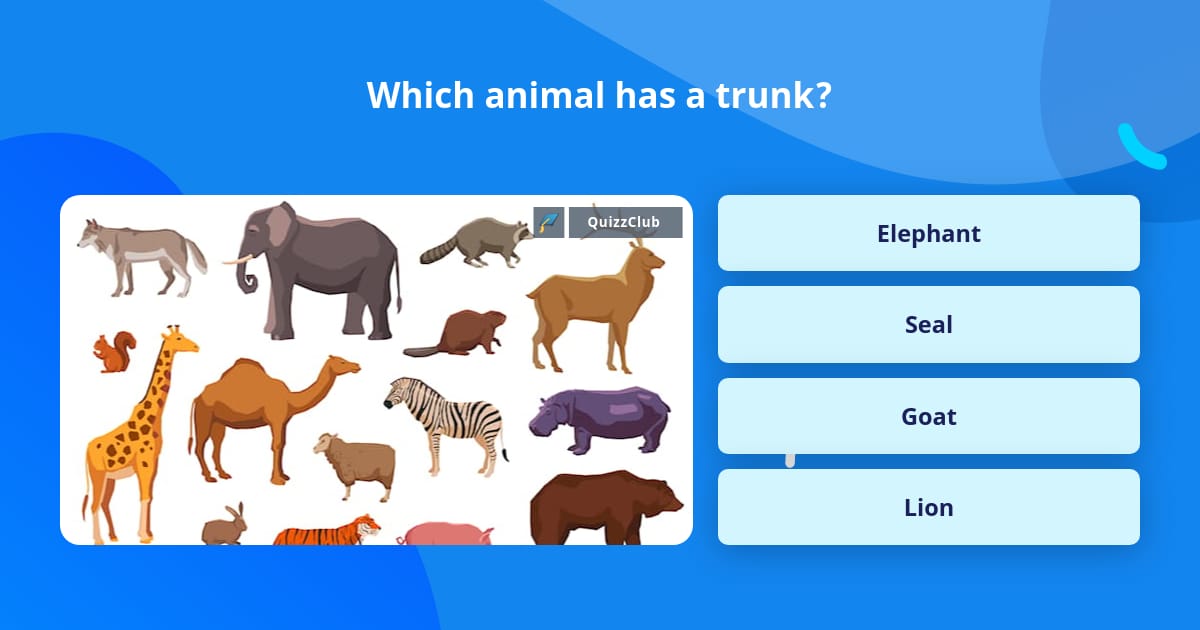 Which animal has a trunk? | Trivia Answers | QuizzClub