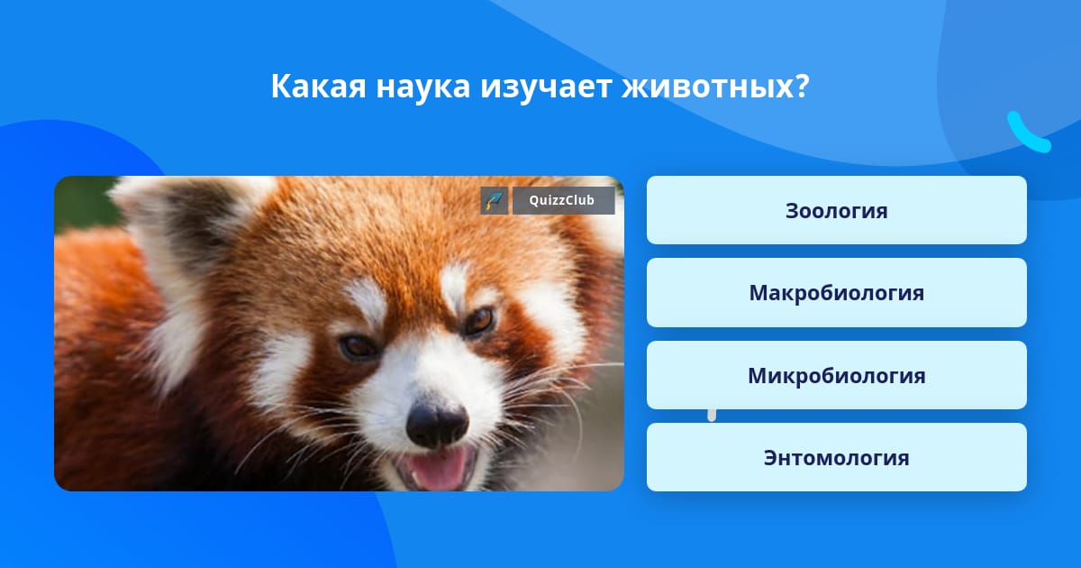 Когда стали изучать животных. Когда стали изучать животных