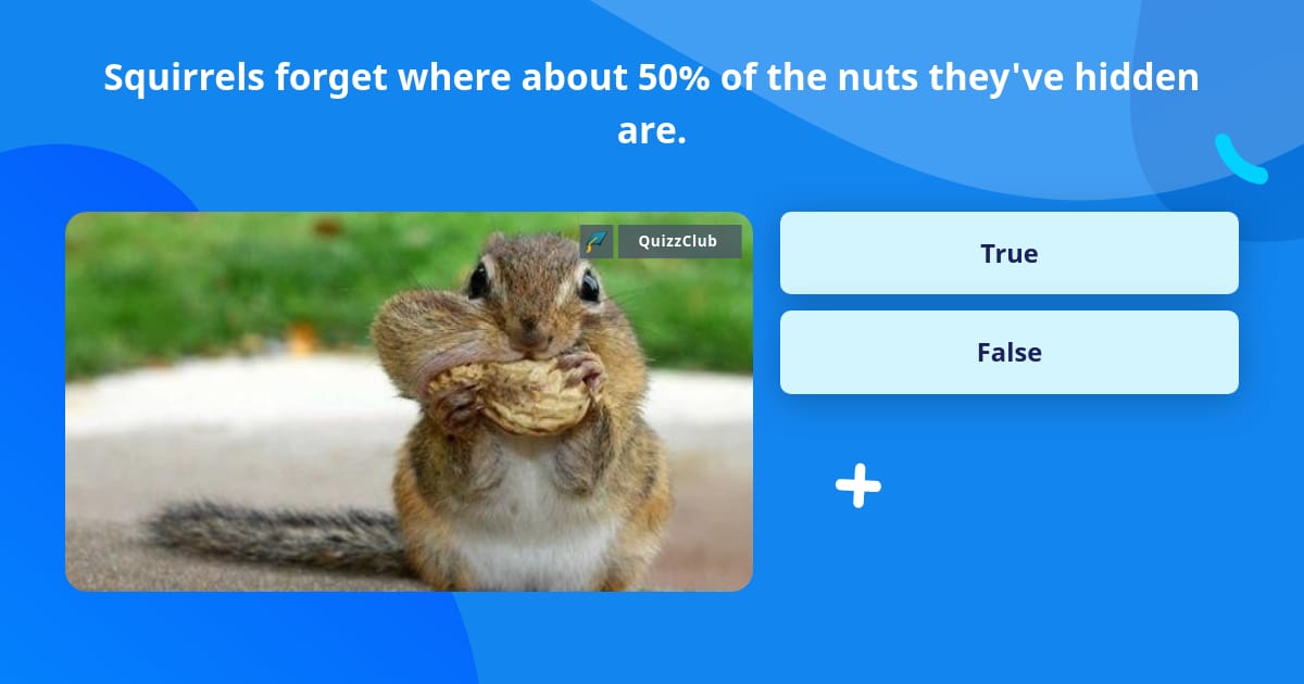 Squirrels forget where about 50% of... | Trivia Answers | QuizzClub