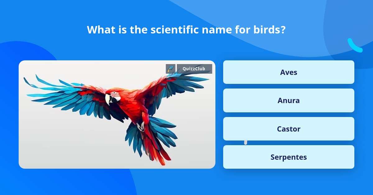 what-is-the-scientific-name-for-birds-trivia-questions-quizzclub