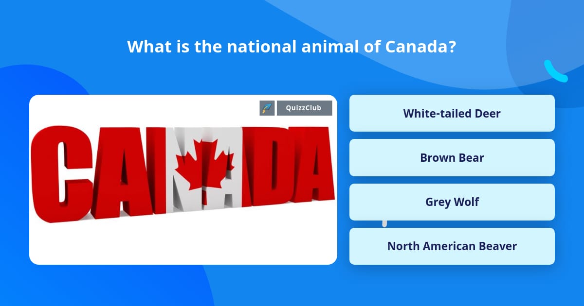 What is the national animal of Canada? | Trivia Answers | QuizzClub