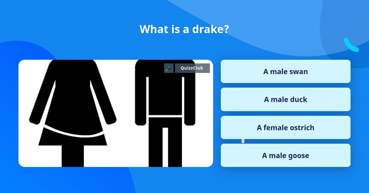 How Tall Is Drake The Answer Is Revealed Plus Fun Facts And Trivia - gr3h933