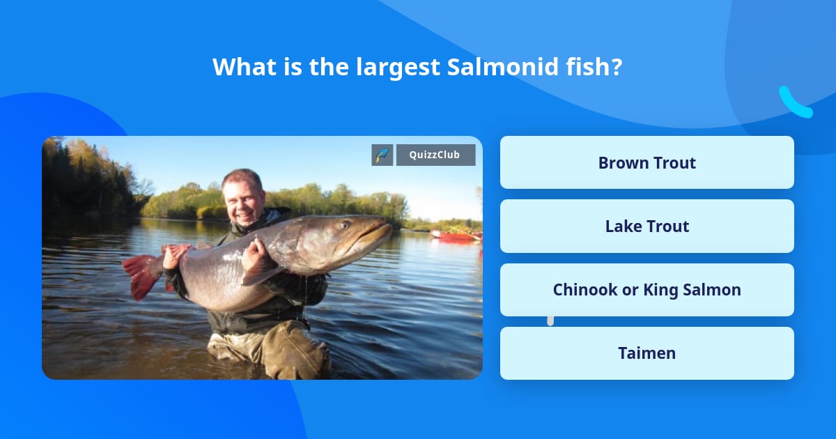 What is the largest Salmonid fish? | Trivia Questions | QuizzClub