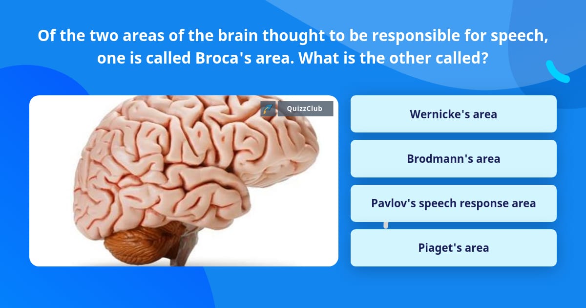 Of the two areas of the brain Trivia Questions QuizzClub