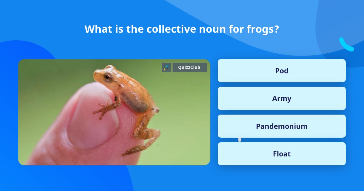 what-is-the-collective-noun-for-frogs-trivia-questions-quizzclub