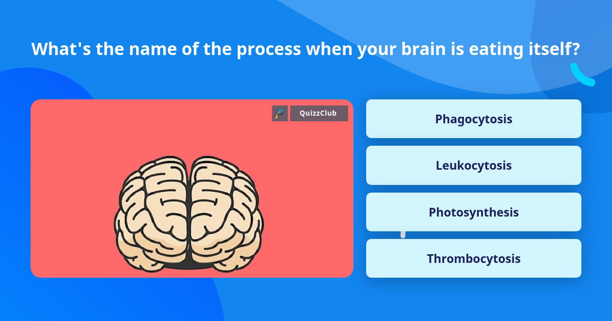 Process Trivia What's the name of the process when... | Trivia Questions | QuizzClub