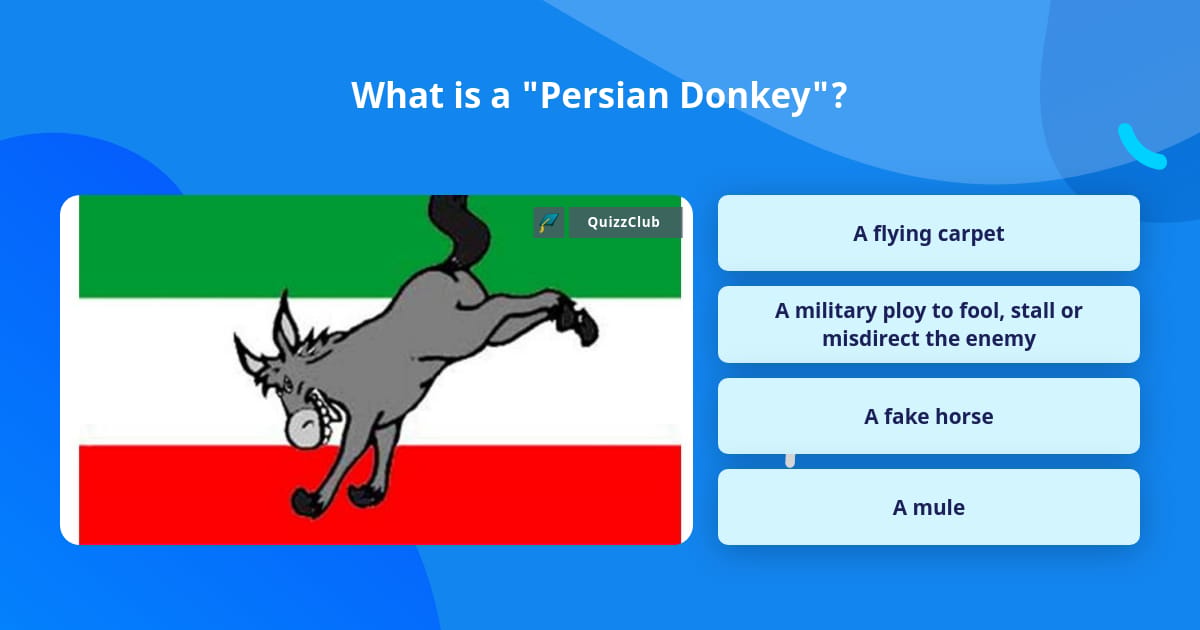 What is a 