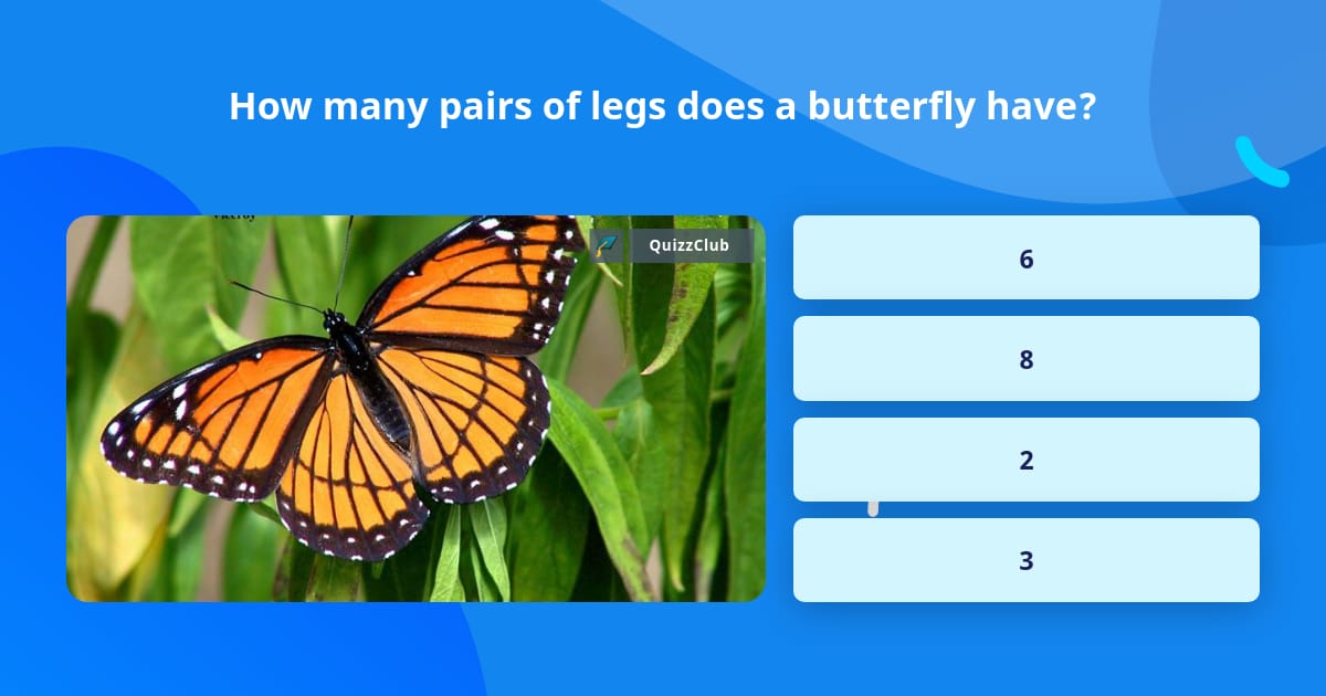 how-many-pairs-of-legs-does-a-trivia-questions-quizzclub