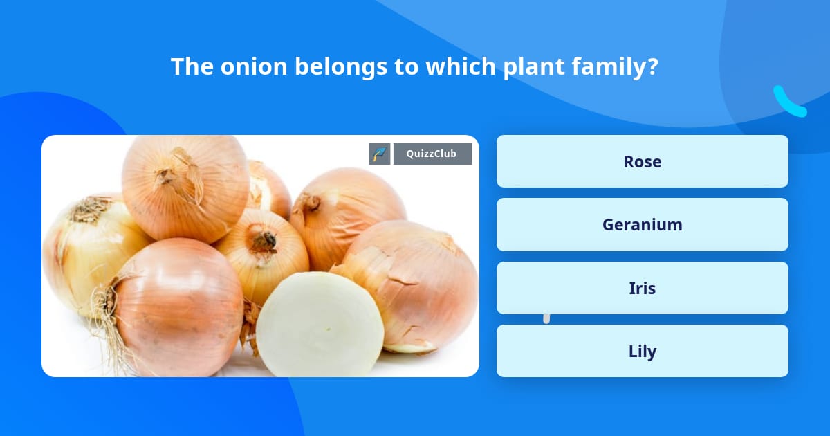 The Onion Belongs To Which Plant Family Trivia Questions