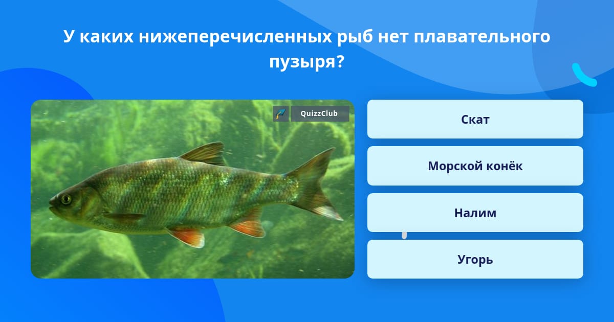 Какой орган присутствует только у представителей рыб