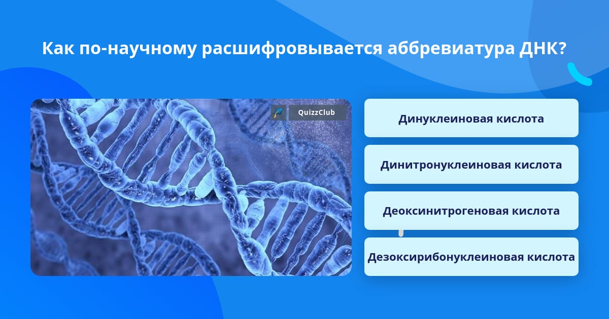 Dna расшифровка на английском