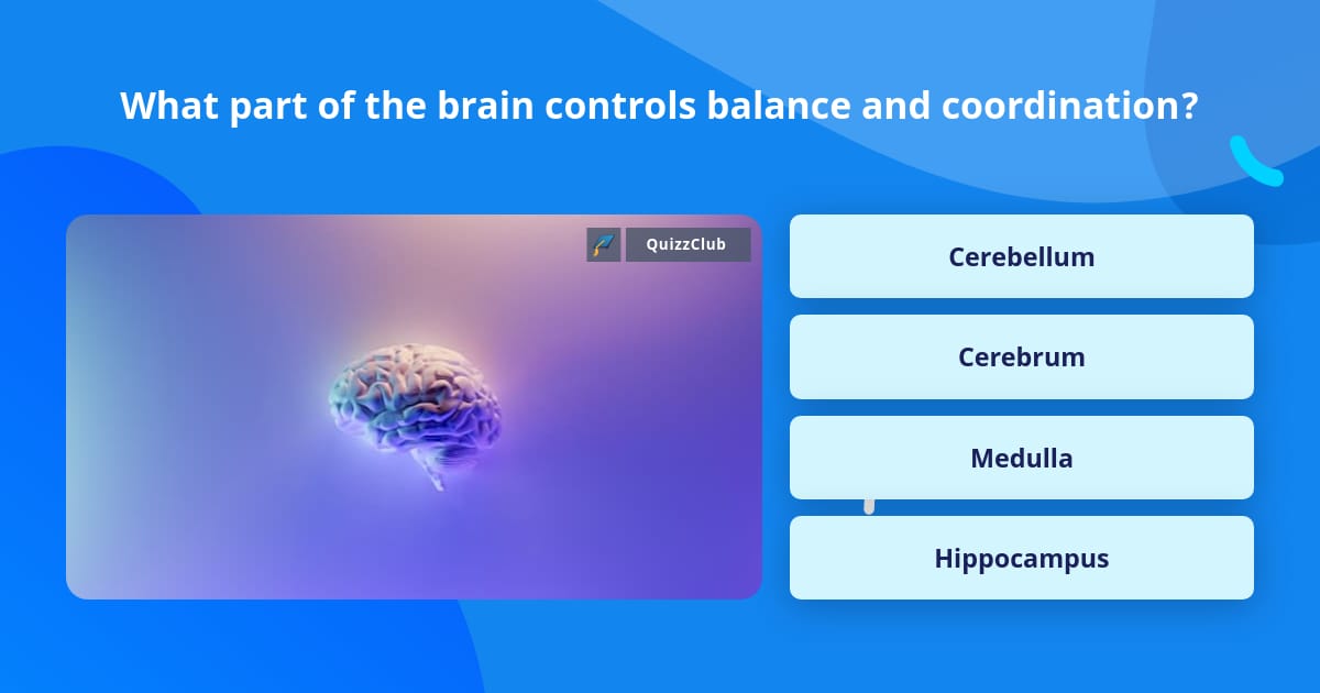 What part of the brain controls... | Trivia Questions | QuizzClub